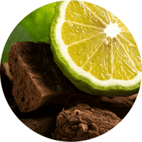 oud-bergamot-fragrance.png